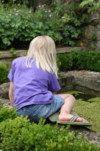 fishing for tadpoles