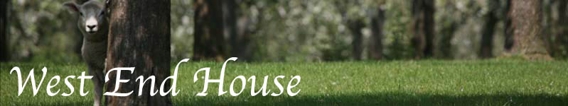 Apple orchard neighbouring West End House